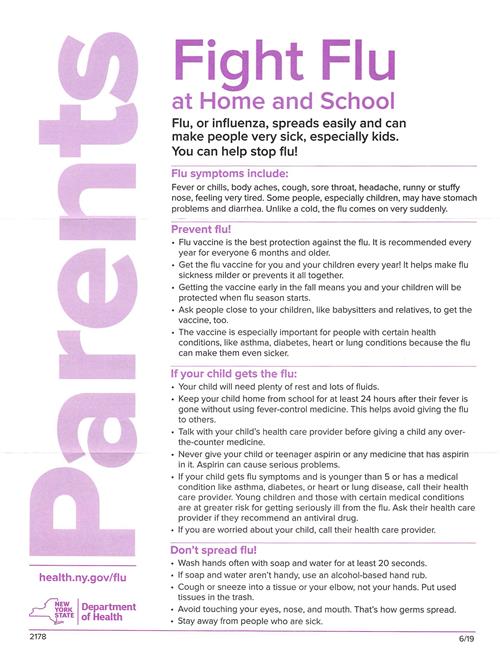 nys flu info 
